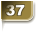 37 37